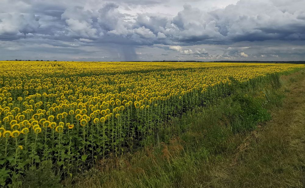 Фотография автора ТАТЬЯНА ЗАХАРОВА