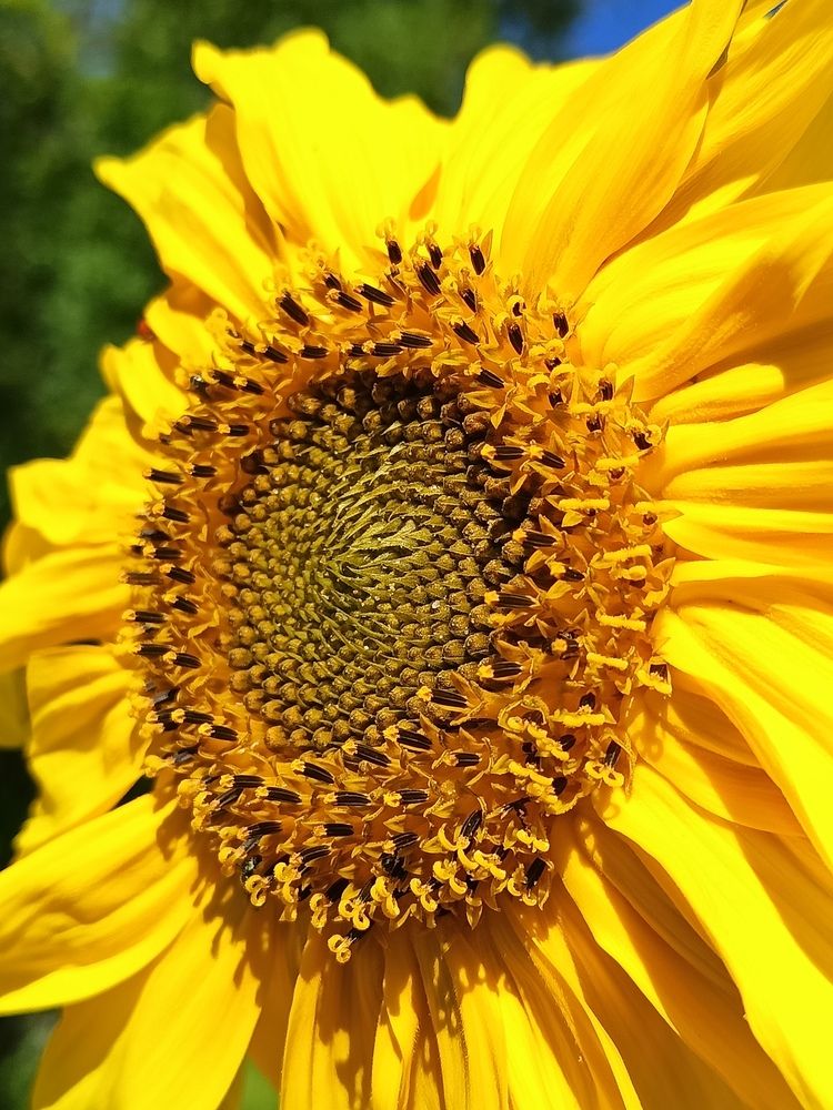 Photo #12605992