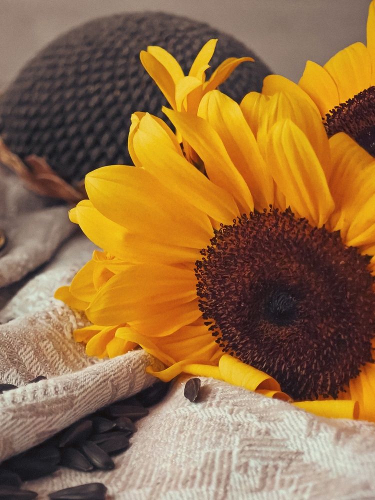 Photograph by Татьяна Соколовская