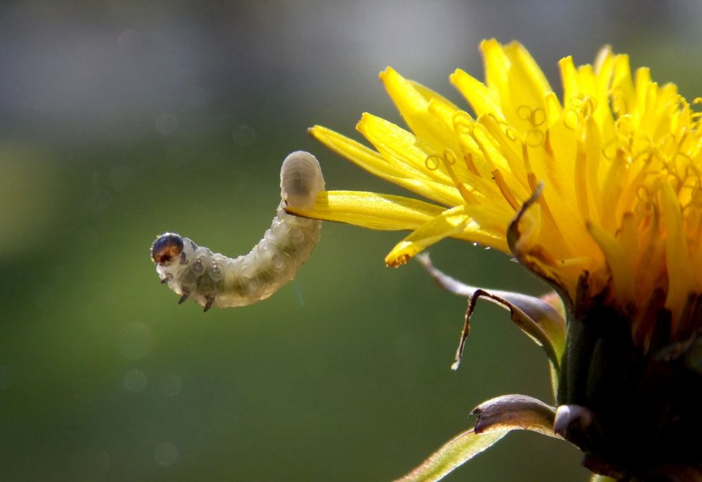 Photograph by Olja Simovic