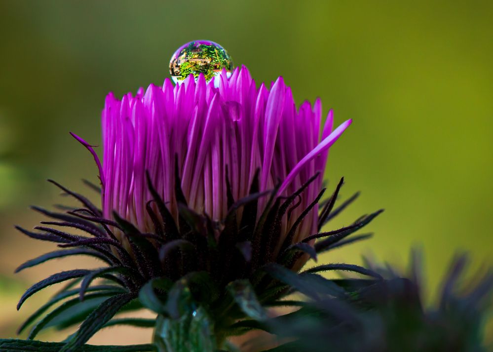 Photograph by Erik Meľuch