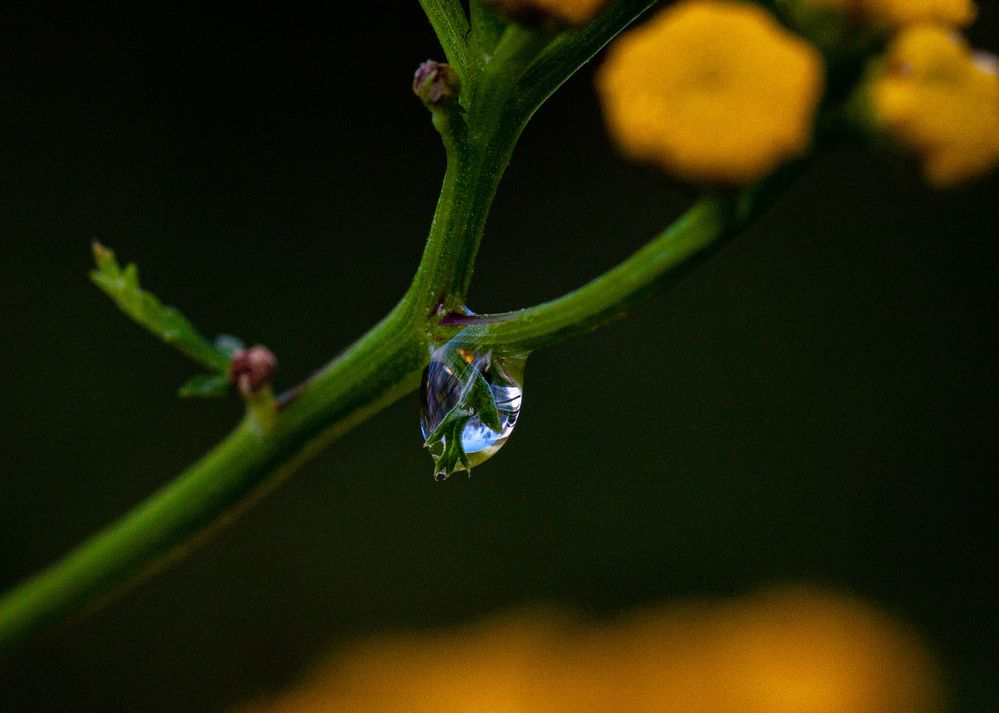 Photograph by Erik Meľuch