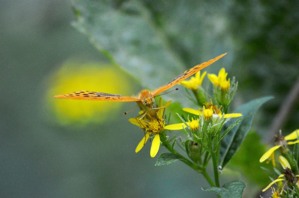 Photograph by Olja Simovic