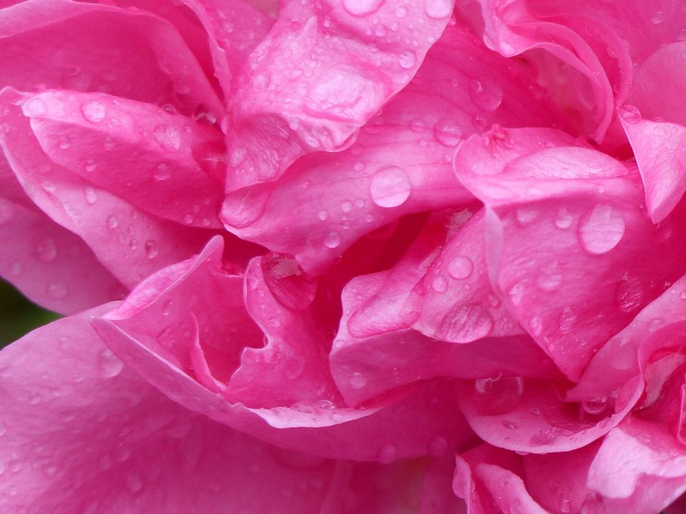 Photograph by Isabella Northrop