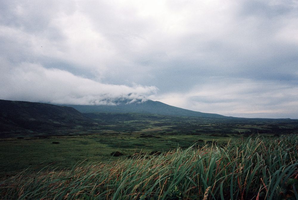 Photograph by Петр Чернецов