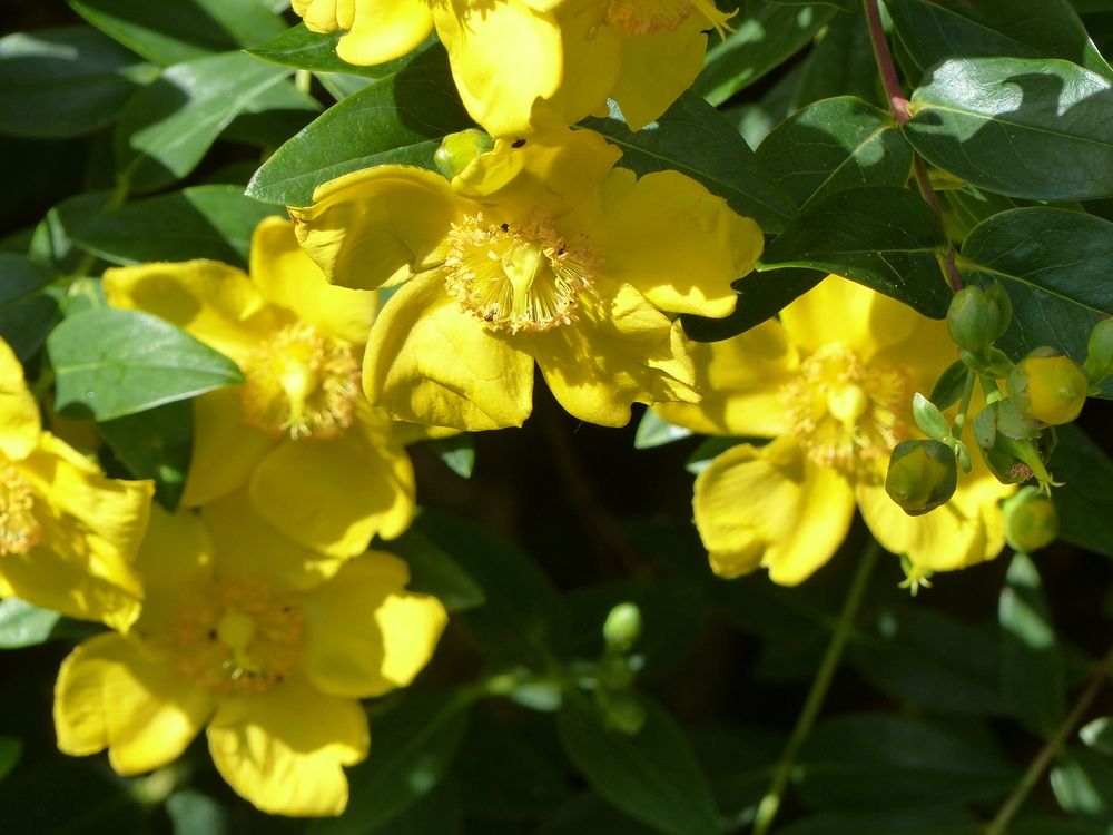 Photograph by Isabella Northrop