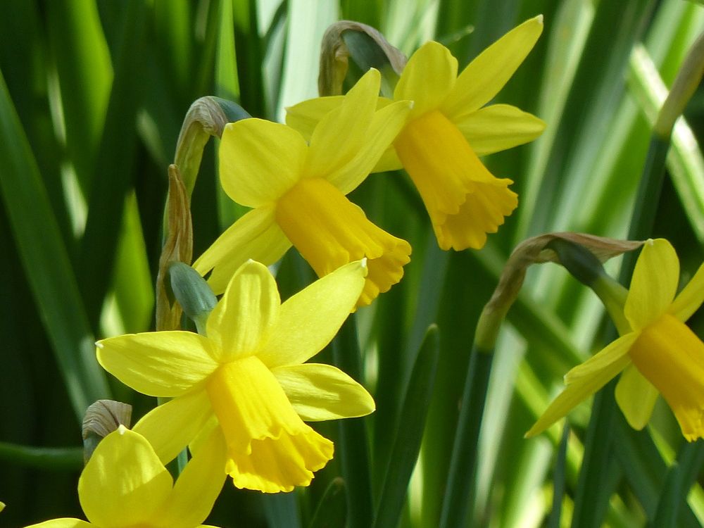 Photograph by Isabella Northrop