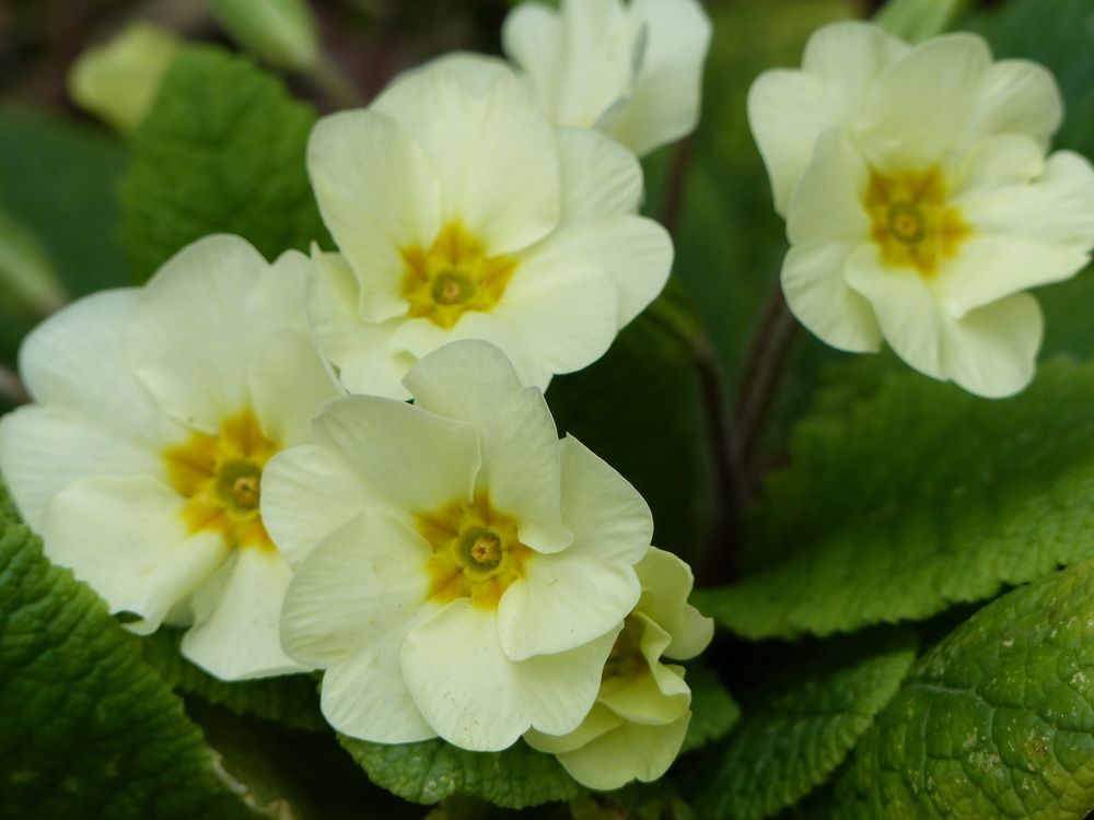 Photograph by Isabella Northrop