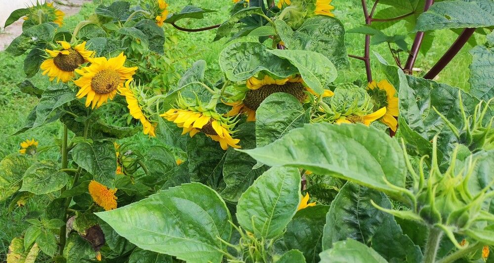 Photograph by Марийона Савоненко