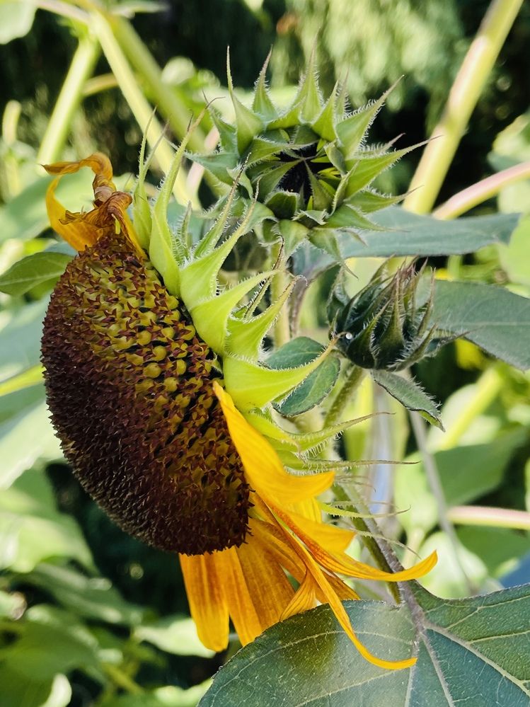 Фотография автора Olga Andriuc