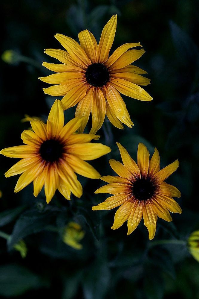 Photograph by Оксана Серёгина