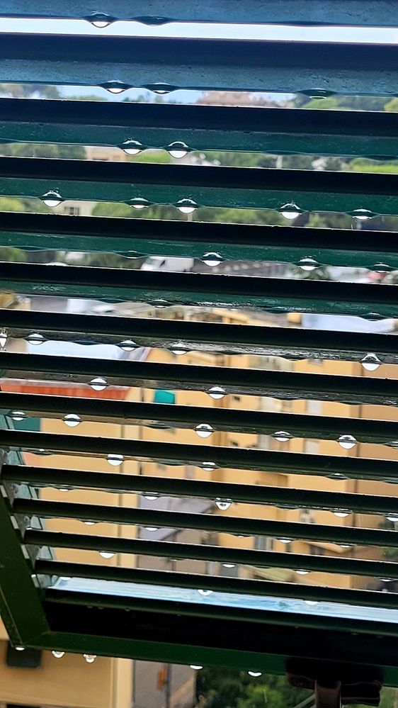 Photograph by claudia