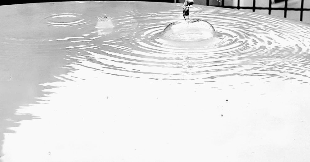 Photograph by claudia