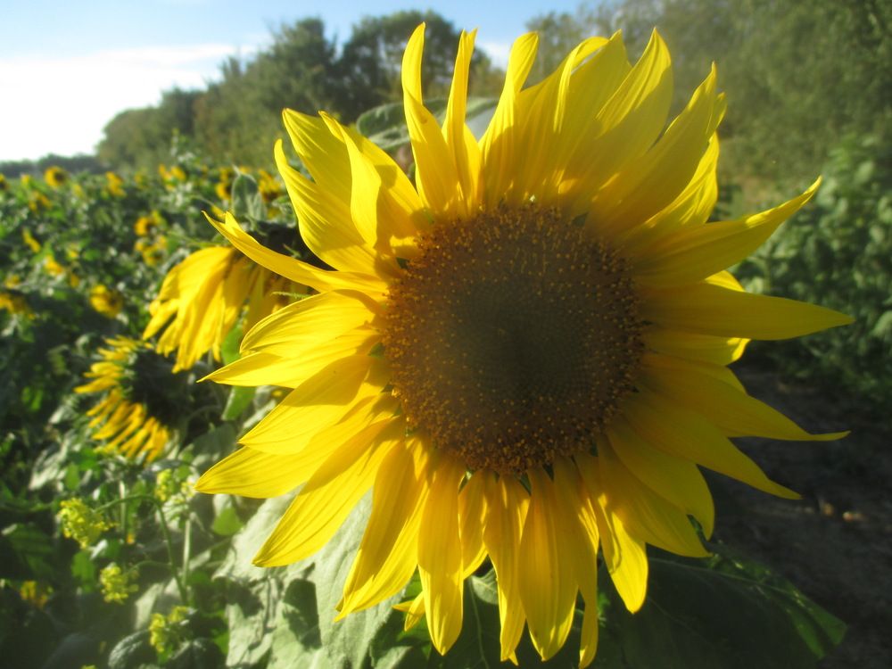 Photograph by Isabella Northrop