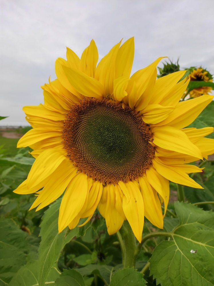 Photograph by Марийона Савоненко