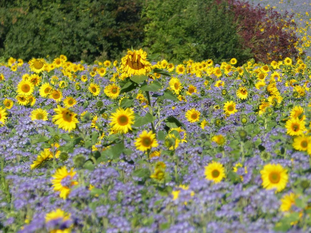 Photograph by Isabella Northrop