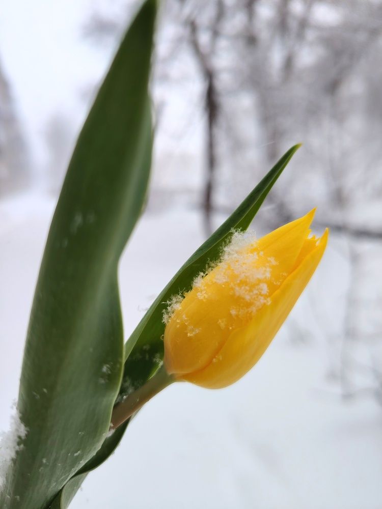 Photograph by Ольга Мокрова