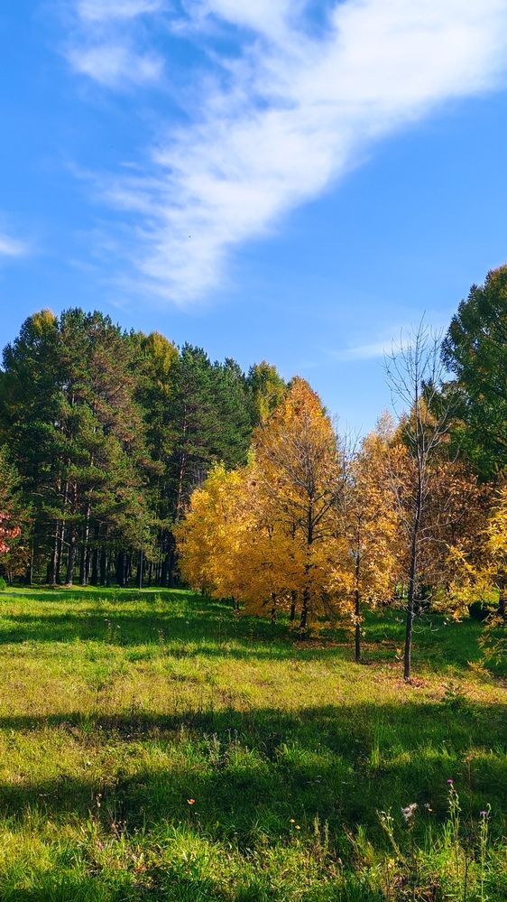 Фотография автора Наталья Шендяпина
