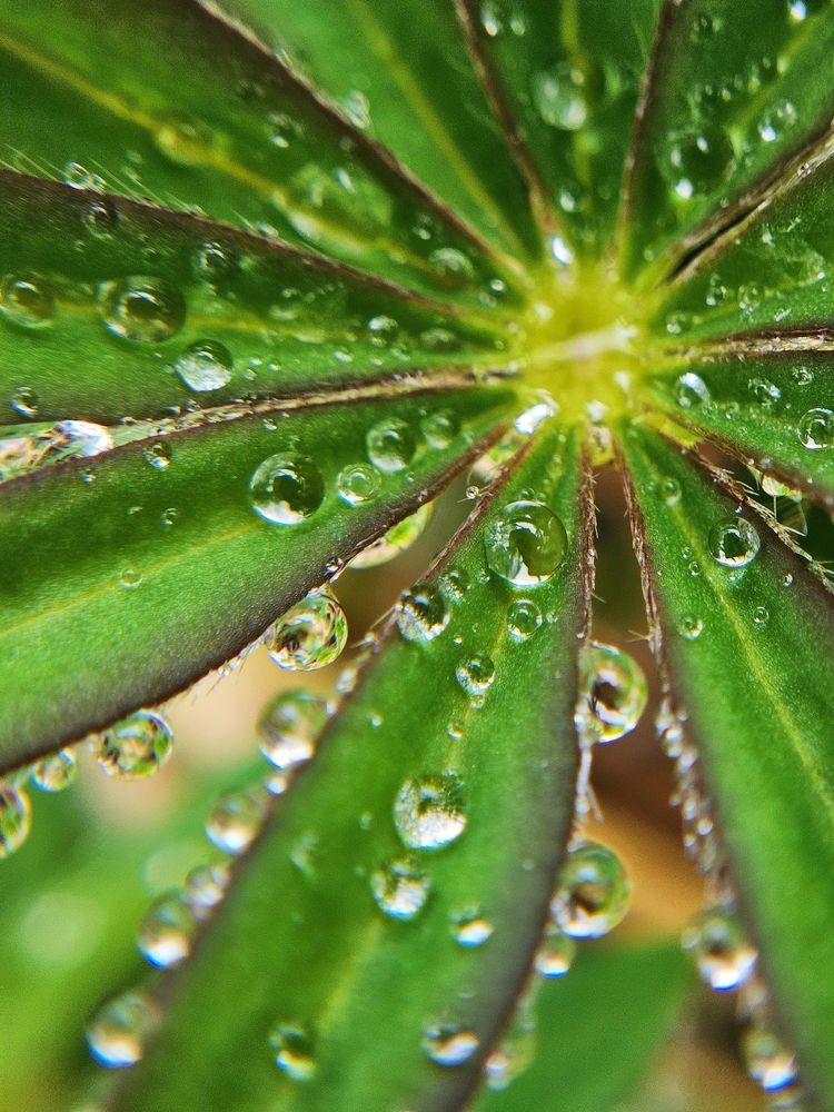 Photograph by Ксения Румянцева