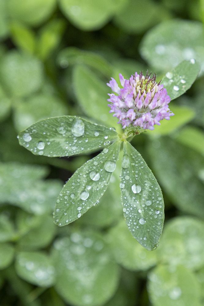 Photograph by Александр Новиков