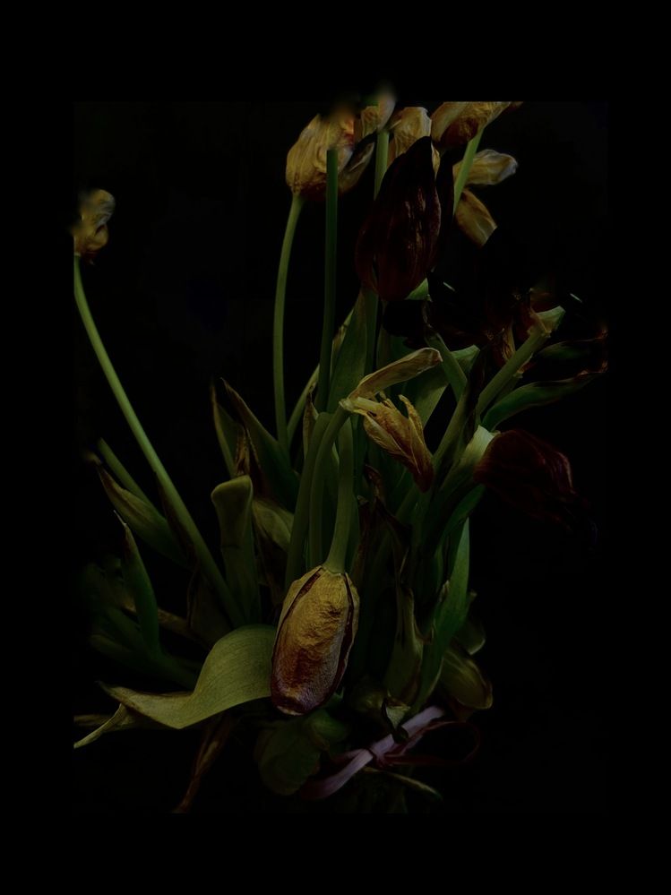 Photograph by Жанна Колесникова