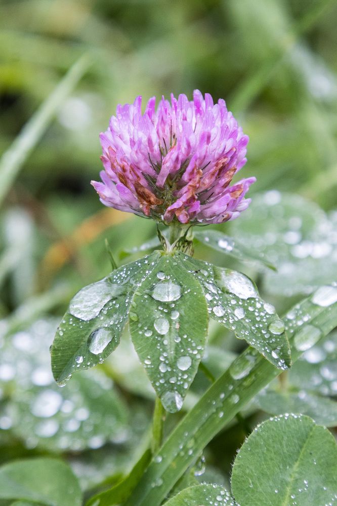 Photograph by Александр Новиков