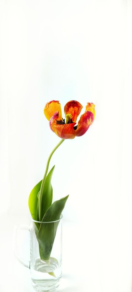 Photograph by Елена Гостева