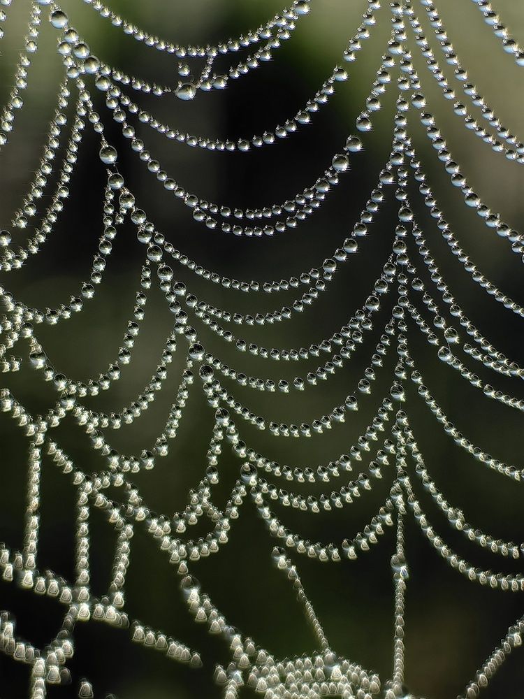 Photograph by Гульназ Шайхисламова