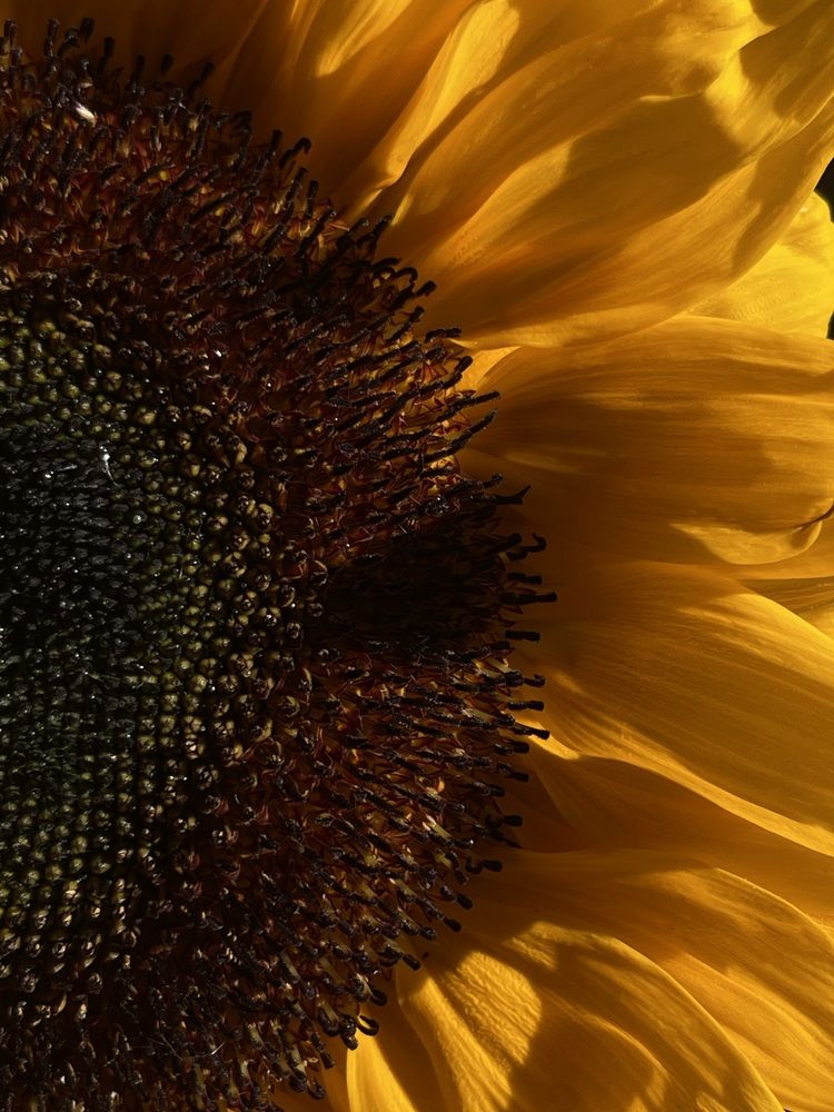 Photograph by Павел Швец