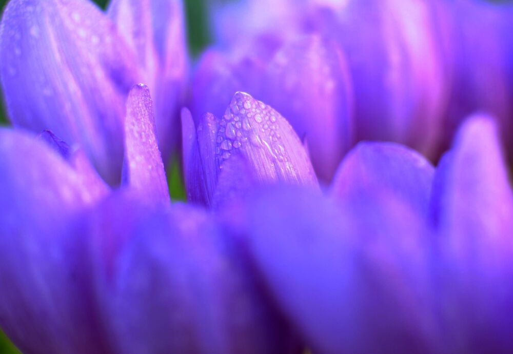 Photograph by Артем Великанов