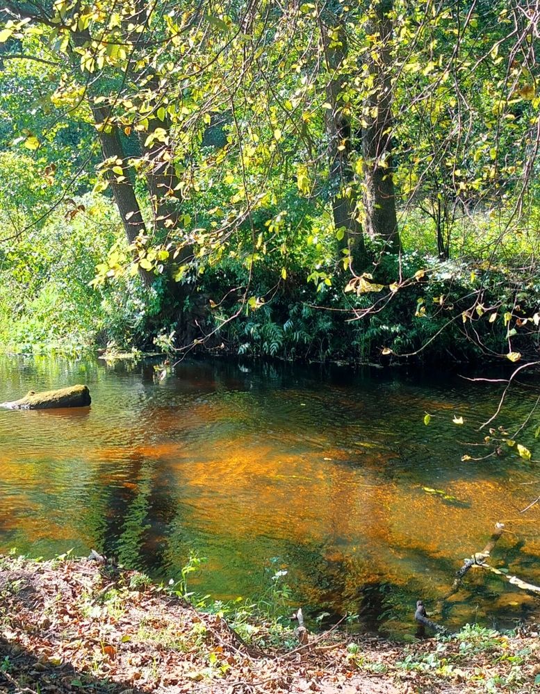 Фотография автора Наталья Драгун