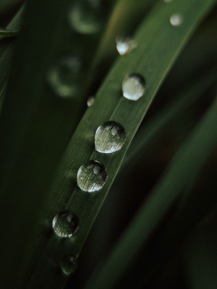 Photograph by Виктория Казакова