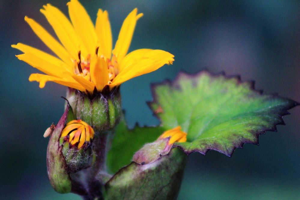 Photograph by Лилия Мархинина