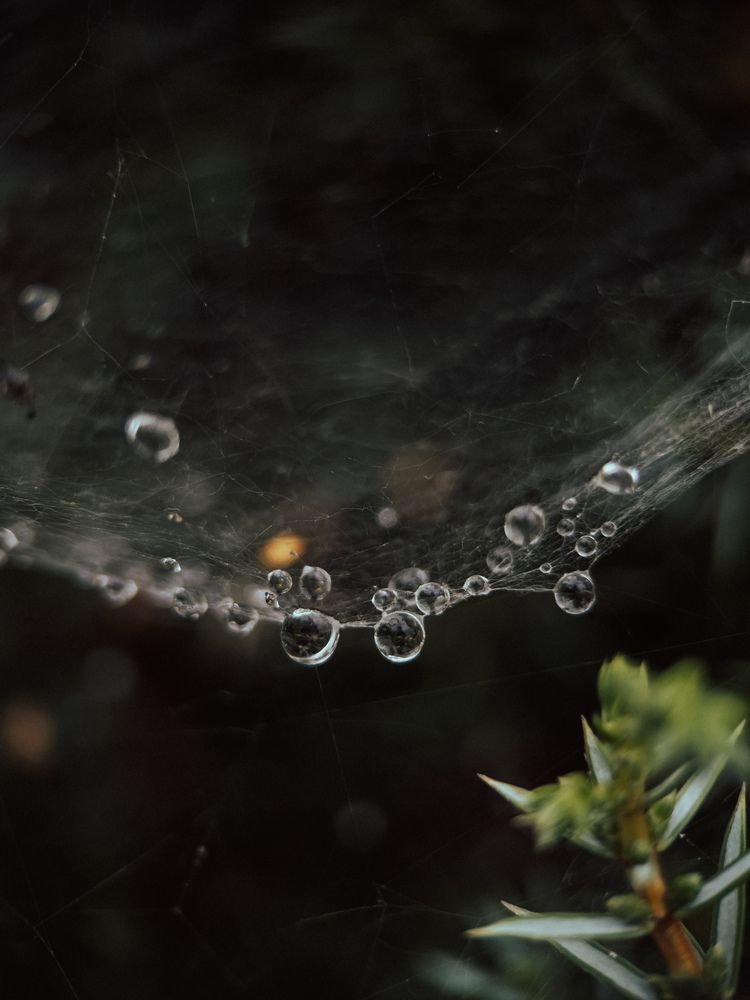 Photograph by Виктория Казакова