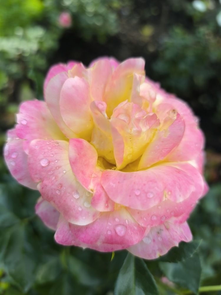 Фотография автора Vadim