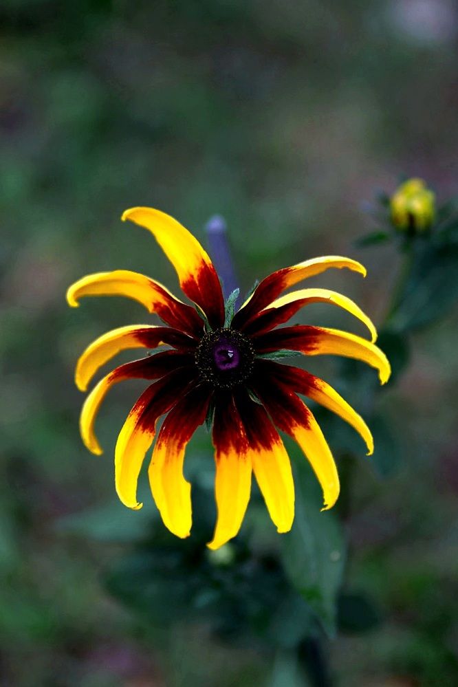 Photograph by Оксана Серёгина