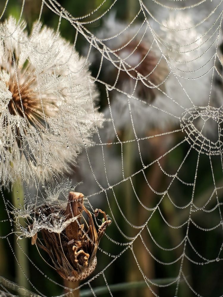 Photograph by Гульназ Шайхисламова