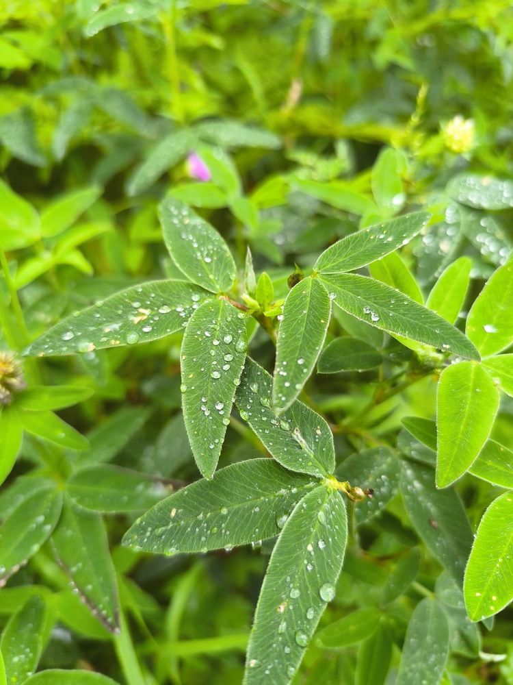 Фотография автора Vadim