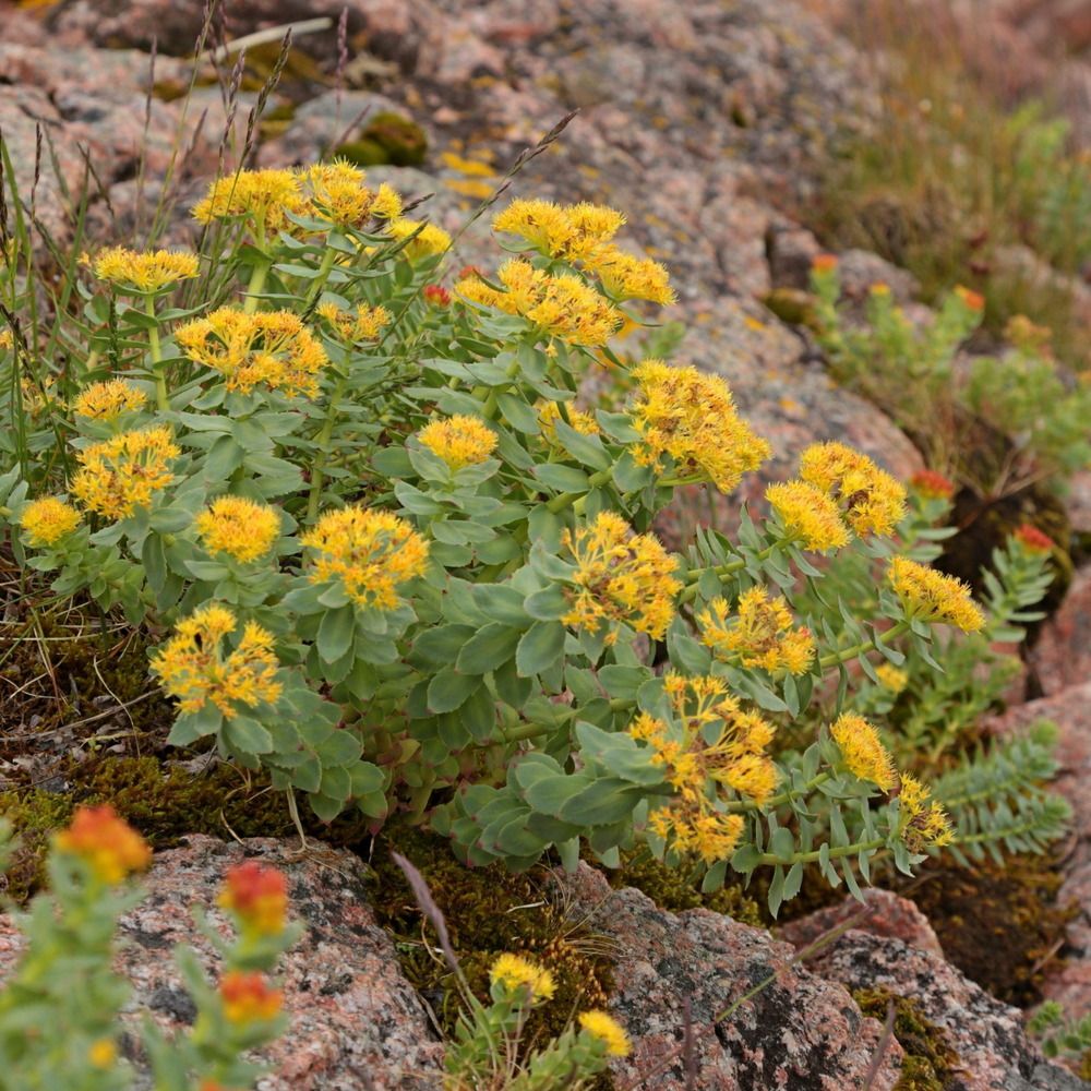 Фотография автора Александр Кожевников