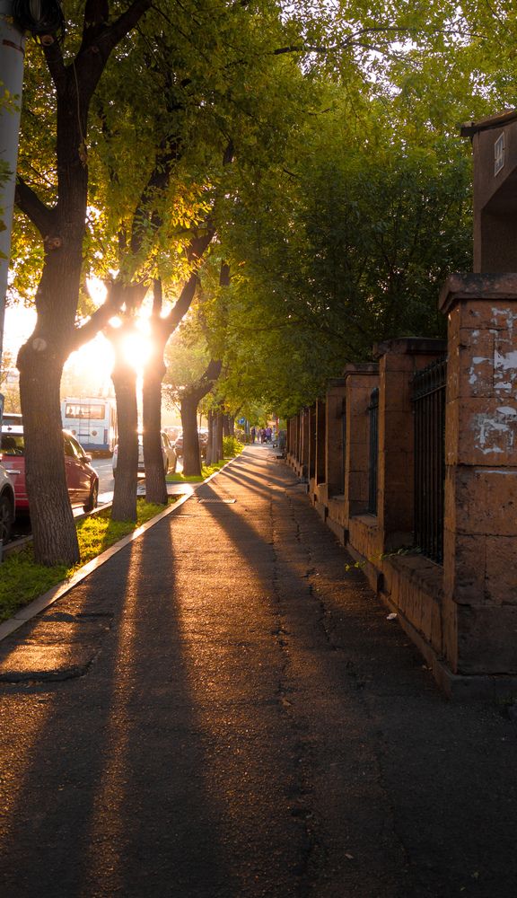 Photograph by Mostafa Moradi