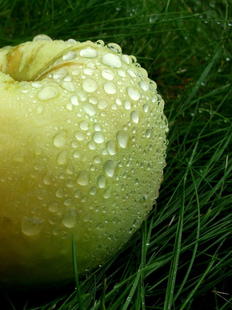 Photograph by Колесов Сергей