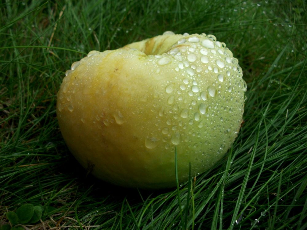 Photograph by Колесов Сергей