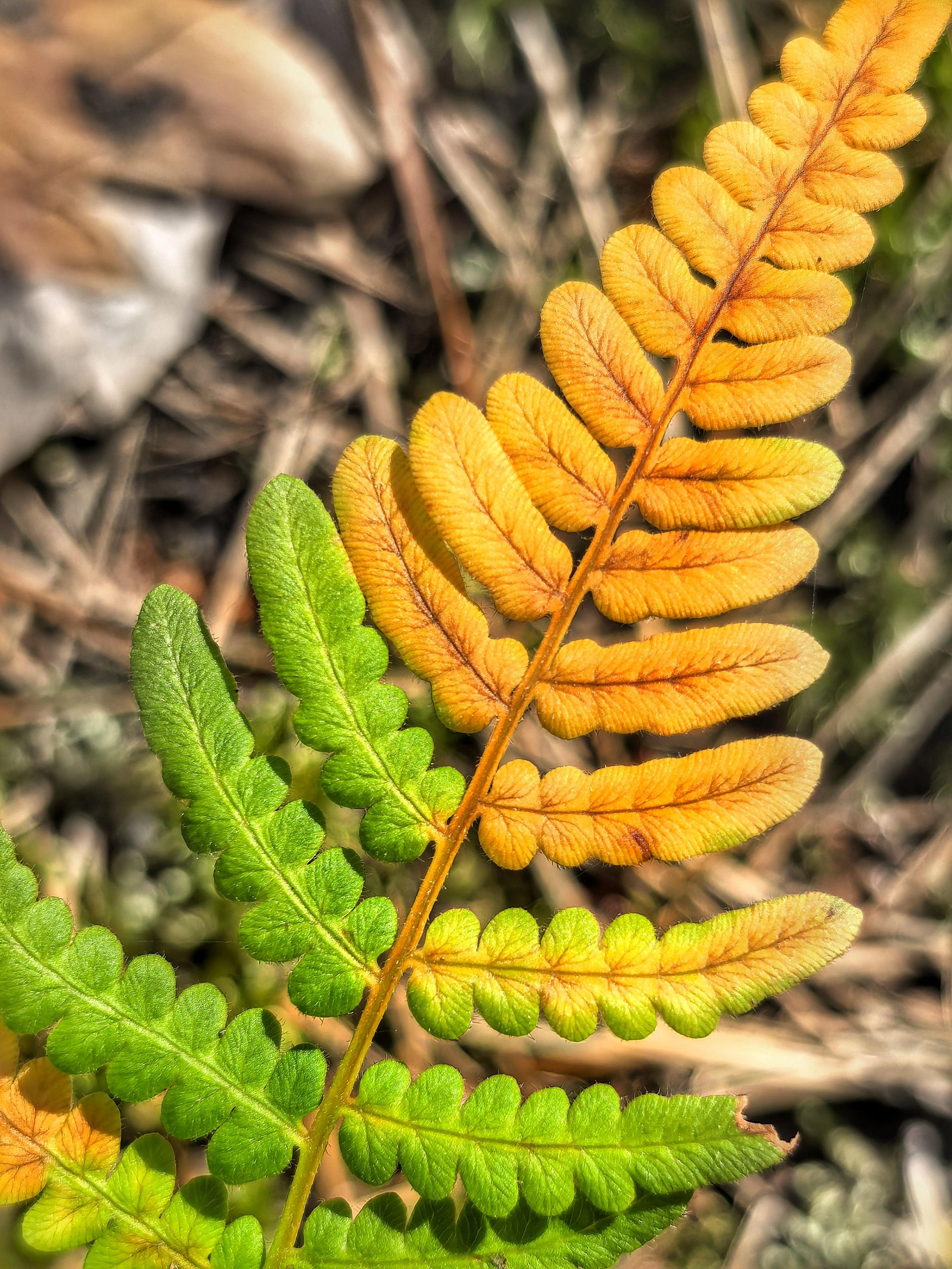 Photograph by Анна Зорька