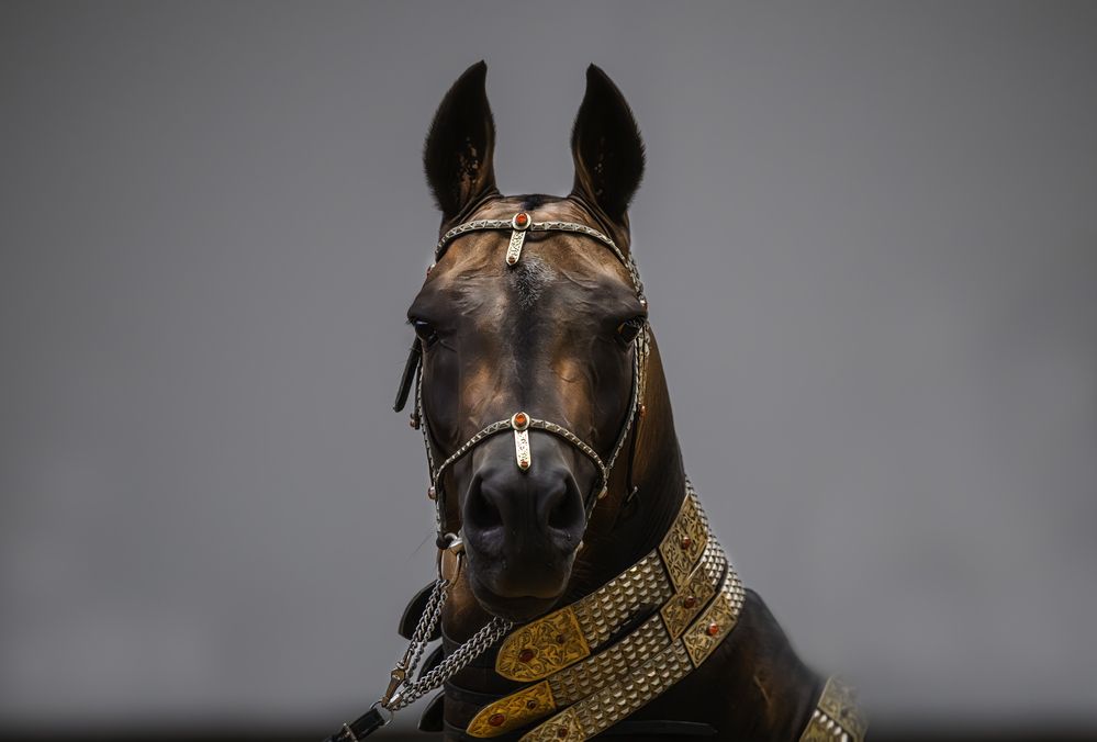 Photograph by Мария Ирешева