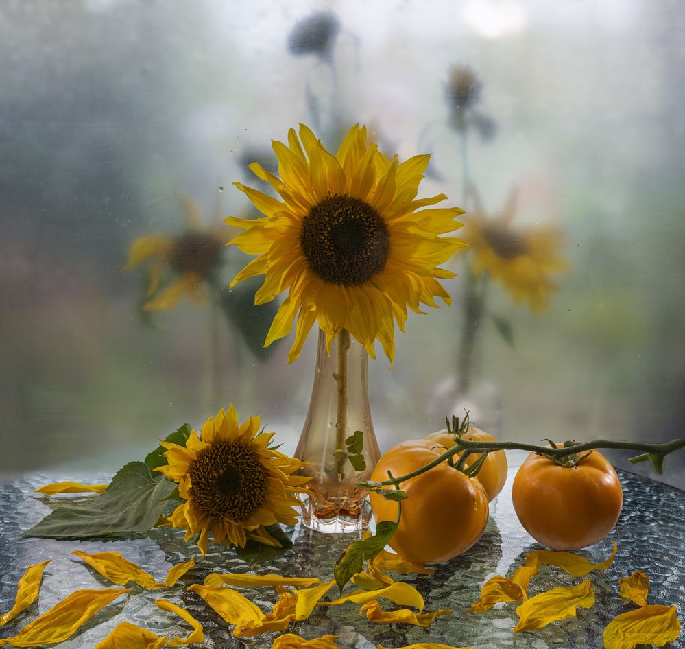 Photograph by NADEZHDA PELYMSKAIA