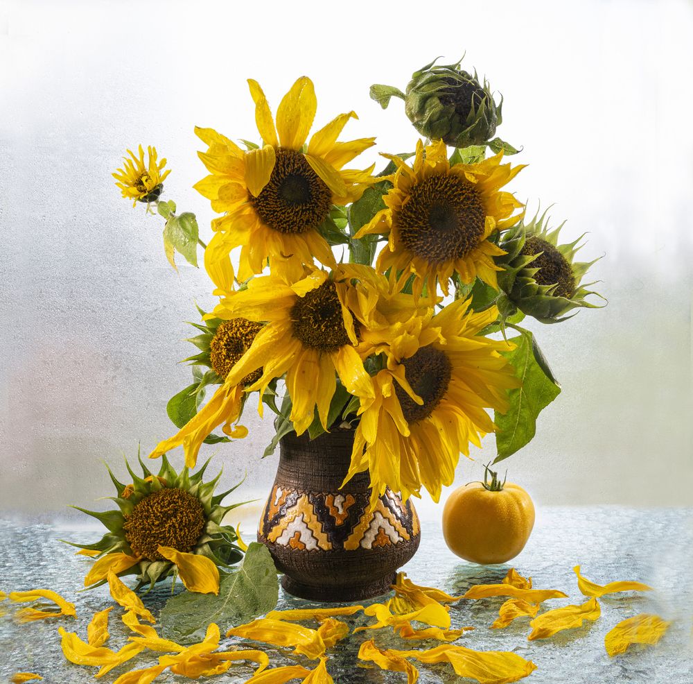 Photograph by NADEZHDA PELYMSKAIA