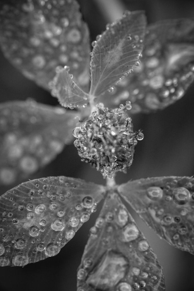 Photograph by Наталия Викторовна