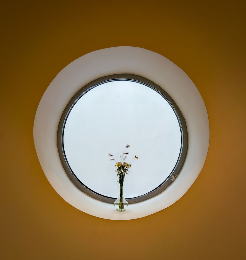 Photograph by Валерия Первенецкене