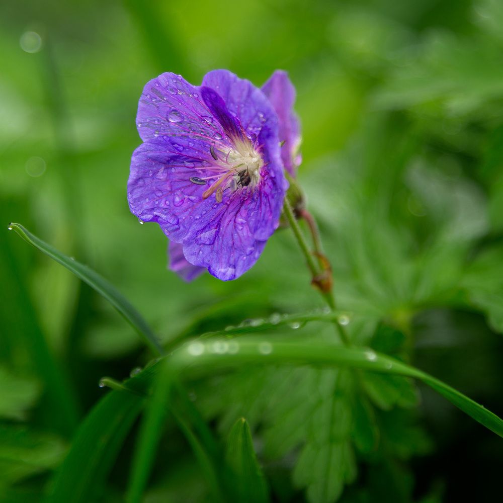 Photograph by Галина Юдина