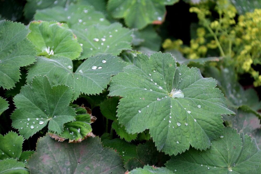 Photograph by Юрий Варюхин